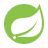 Logo Spring
